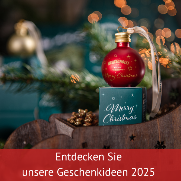 Christmas gift ideas 2025