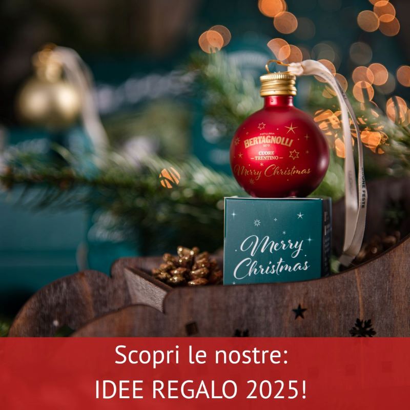 Idee Regalo Natale 2025